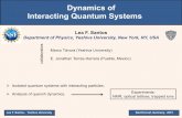 Dynamics of Interacting Quantum Systems - uni-goettingen.de · (ii) Systems without invariance under time reversal (atom in an external magnetic field) Hamiltonians are Hermitian)