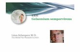 2.DYNHOM May2017 Gels · stress precordialgia, stress colitis, migraine, allergic sinusitis, menstrual disturbances. Flu-like symptoms are considered for acute use when there is muscle