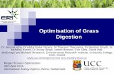 Optimisation of Grass Digestion - iea- Optimisation of Grass Digestion Biogas Process Optimisation 18th