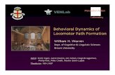 Behavioral Dynamics of Locomotor Path Formationarchive.cme.mcgill.ca/html/videos/2007.pot/williamWarren/McGill... · Behavioral Dynamics of Locomotor Path Formation PerceptionAction