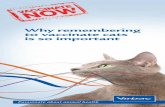 Why remembering to vaccinate cats is so important...Why remembering to vaccinate cats is so important 4654 Vaccine Cat Lflt.indd 1 16/08/2012 15:30 Does my cat need to be vaccinated?
