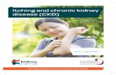 Itching and chronic kidney disease (CKD) · pruritus) is common in people with advanced chronic kidney disease (CKD). It can be a serious problem for many people and can have a major