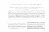 Ecología y evolución de hantavirus en el Cono Sur de Américamingaonline.uach.cl/pdf/amv/v36n1/Art01.pdf · 2012-11-29 · de hantavirus y de los virus entre sí, han mostrado fuertes