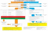 Stroke Pathway (v1.0) - Charlie's EDSTROKE PATHWAY Go to FSH NO YES YES NO YES NO No stroke call YES Neurological dysfunction Is the patient SOUTH of the river AND is it 0800-1600