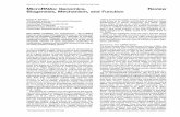 Cell, Vol. 116, 281–297, January 23, 2004, Copyright 2004 ...bartellab.wi.mit.edu/publication_reprints/Bartel_Cell_review04.pdf · Jones, 2004). an arrangement and expression pattern