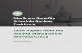 Medicare Benefits Schedule Review Taskforce … · Web viewMedicare Benefits Schedule Review Taskforce Draft Report from the Wound Management Working Group November 2019 Important