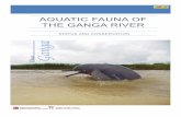 STATUS AND CONSERVATION Ganga - NMCG report 10 05 2018_WII (1).pdf · The restoration of the Ganga River and its key biodiversity, therefore, is one of the most important national