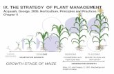 IX. THE STRATEGY OF PLANT MANAGEMENTwartabepe.staff.ub.ac.id/files/2013/03/DBT-8-GROWTH-STAGE.pdfgrowth stage of maize 5-9 das (seedling) 12-55 das 55-59 das 71-112 das vegetative