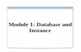 Module 01 Database and Instancedownload.microsoft.com/download/4/B/C/4BC0259C-4CD3-43CA... · 2018-10-13 · Module 1: Database and Instance . Overview Defining a Database and an