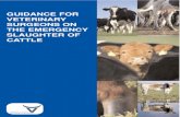 GUIDANCE FOR VETERINARY SURGEONS ON THE EMERGENCY ... · must be considered, including therapeutic medicines, dry cow tubes, pulse release and injectable wormers and pour-on medicines.
