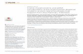 Cranio-morphometric and aDNA corroboration of … et al...RESEARCH ARTICLE Cranio-morphometric and aDNA corroboration of the Austronesian dispersal model in ancient Island Southeast