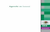 Agenda 21 (2000) - biblioteca.semarnat.gob.mxbiblioteca.semarnat.gob.mx/janium/recursos/224844/Contenido/H programas... · 1.2 esta asociación mundial ha de basarse en las premisas