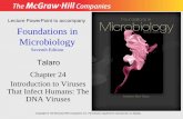Foundations in MicrobiologyHepatitis B Virus and Disease •Multiplies exclusively in the liver, which continuously seeds blood with viruses – chronic •107 virions/mL blood •Minute