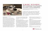CASE STUDYfiles.alfresco.mjh.group/alfresco_images/DVM360/2019/01/...1 CASE STUDY: Stimulating the appetite of a geriatric dog with chronic comorbidities In this case, the owners knew