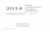 Utah Ambulatory Surgery Databasestats.health.utah.gov/wp-content/uploads/2016/06/Amb2014man.pdfHealth, Office of Health Care Statistics, which manages the Utah Ambulatory Surgery Database.