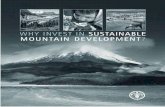 WHY INVEST IN SUSTAINABLE MOUNTAIN DEVELOPMENT · Why invest in sustainable mountain development?i Mountain people, who are among the world’s poorest and hungriest, are key to maintaining