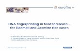 DNA fingerprinting in food forensics – the Basmati and Jasmine … · 2019-10-09 · DNA fingerprinting in food forensics – the Basmati and Jasmine rice cases DNA Fingerprinting