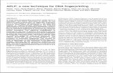 AFLP: a new technique for DNA fingerprintingaerg.canberra.edu.au/library/sex_general/1995_Vos_etal_AFLP_technique.pdf · fingerprinting methods have the major disadvantage that they