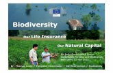 Presentation Dr Thomas Koetz - European External Action ...eeas.europa.eu/.../presentation_dr_thomas_koetz.pdf · EU-India Environment Forum Sustainable Forestry and Biodiversity