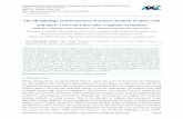 The Morphology and Proteomics Variance Analysis of QSG ... · The Morphology and Proteomics Variance Analysis of QSG-7701 and QGY-7703 Cell Lines after Cisplatin Treatment International