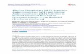 Alkaline Phosphatase (ALP), Aspartate Aminotransferase ...Alkaline Phosphatase (ALP), Aspartate Aminotransferase (AST) and Alanine Aminotransferase (ALT) Activities in Selected Tissues