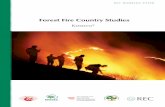 Forest Fire Country Studiesdocuments.rec.org/publications/Forest_Fires_KOSOVO.pdf · Forest!Fires!Country!Study!—!Kosovo*!5! It excludes: areas with the tree, shrub or bush cover