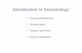 Introduction to Enzymology - University of Windsormutuslab.cs.uwindsor.ca/vacratsis/lecture2o8.pdf · system defined by the Enzyme Commission. This system consists of a four digit