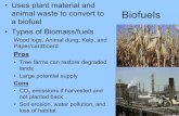 Uses plant material and animal waste to convert to ...marcuspate.weebly.com/uploads/1/6/2/4/16240254/ch_4_ppt_part_ii.pdf · • Uses plant material and animal waste to convert to