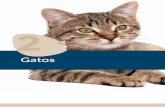 Gatos - Dimac · ADULT POLLO/CORDERO 2 KG ADULT POLLO/CORDERO 7,5 KG GATO seco de APPLAWS Applaws alimentación natural seca para gatos, contiene un 80% de carne ... textura de paté