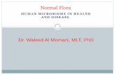 HUMAN MICROBIOME IN HEALTH AND DISEASE · So this means that the fetus has no normal flora when he is still in his mother uterus(the fetus is in sterile environment) بيئة معقمة
