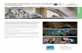 National Aquarium of New Zealand · oceanarium tunnel. For additional entertainment and education, catch one of our keeper talks or diving displays. Close encounters are also available