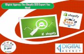 1Digital Agency: The Shopify SEO Expert You Need