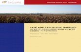 TASK AND LABOR RISK MAPPING: HYBRID CORN …TASK AND LABOR RISK MAPPING: HYBRID CORN AND SUNFLOWER SEEDS IN ROMANIA 2 I. INTRODUCTION In 2011, the Fair Labor Association (FLA) launched