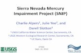 Sierra Nevada Mercury Impairment Project (SNIP) · Sierra Nevada Mercury Impairment Project (SNIP) Charlie Alpers1, Julie Yee2, and Darell Slotton3 1 USGS California Water Science