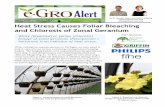 Heat Stress Causes Foliar Bleaching and Chlorosis of Zonal ...e-gro.org/pdf/2017_630.pdfHeat Stress Causes Foliar Bleaching and Chlorosis of Zonal Geranium White (bleached) or yellow