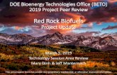 Red Rock Biofuels Biomass Biorefinery...2019 Project Peer Review Red Rock Biofuels Project Update March 5, 2019. Technology Session Area Review . ... Advanced biofuels production facility