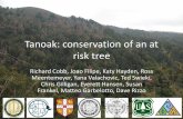 Tanoak: conservation of an at risk tree · Agriphos® (phosphonate) treatments reduce pathogen growth in tanoak and coast live oak . Models: forecasting spread and efficacy 20 40