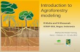 Introduction to Agroforestry modelingold.worldagroforestry.org/downloads/WaNuLCAS/Introduction to AF... · R Mulia and N Khasanah ICRAF-SEA, Bogor, Indonesia WaNuLCAS Model Training,