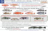 Yelloweye Rockfish Fish General Marine Species …...5 Fish General Marine Species Daily Bag Limit in aggregate (Restricted to inside of the 40-fathom line June 1 –Aug 31) Deacon