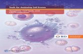 Apoptosis, Cell Cycle, and Cell Proliferation...Several methods have been developed to assess apoptosis, cell cycle, and cell proliferation. BD Biosciences offers a complete portfolio
