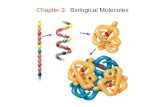 Chapter 3: Biological Moleculesguralnl/gural/102Chapter 03 - Biological Molecules.pdfChapter 3: Biological Molecules Protein Structure Dictates Protein Function! Levels of Protein