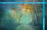 ucla pathology and laboratory medicinepathology.ucla.edu/.../2014AnnualReport-Final.pdf4 pathology & laboratory medicine at ucla F or years, the Gevorkyan family lived with uncertainty