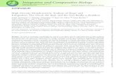 Integrative and Comparative Biology-2019,-the-good... · Synopsis The field of comparative morphology has entered a new phase with the rapid generation of high-resolution three-dimensional