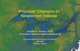 Physical Changes in Nearshore Habitatweb2.uwindsor.ca/lemn/LEMN2008_files/Presentations... · Physical Changes in Nearshore Habitat Scudder D. Mackey, Ph.D. University of Windsor/Habitat