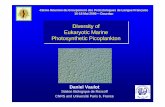 Diversity of Eukaryotic Marine Photosynthetic Picoplanktongplf.assoc.univ-bpclermont.fr/GPLF23-02-05/PDF dourdan... · 2016-08-18 · Diversity of Eukaryotic Marine Photosynthetic