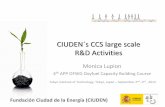 R&D Activities - University of Newcastle · 2014-03-13 · Fundación Ciudad de la Energía (CIUDEN) CIUDEN´s CCS large scale R&D Activities Monica Lupion 4. th. APP OFWG Oxyfuel