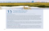 15 Tidal Wetlands and Estuaries...15 Tidal Wetlands and Estuaries November 2018 2 597 KEY FINDINGS 1. The top 1 m of tidal wetland soils and estuarine sediments of North America contains