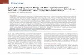 The Multifaceted Role of the Ventromedial Prefrontal ... · Social Cognition, and Psychopathology Jaryd Hiser and Michael Koenigs ABSTRACT The ventromedial prefrontal cortex (vmPFC)
