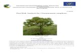 circabc.europa.eu …  · Web view19/08/2016  · EUROPEAN AND MEDITERRANEAN PLANT PROTECTION ORGANIZATION. ORGANISATION EUROPEENNE ET MEDITERRANEENNE POUR LA PROTECTION DES PLANTES.