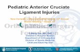 Pediatric Anterior Cruciate Ligament Injuries New ...Pediatric Anterior Cruciate Ligament Injuries Yi-Meng Yen, MD, PhD Children’s Hospital Boston Department of Orthopaedics Division